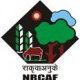 NRCAF