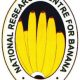 NRCB – Young Professional – I Vacancy (Tiruchirapalli, Tamil Nadu)