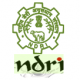 NDRI Govt Jobs – Project Assistant, JRF & Various Vacancies (Kolkata, West Bengal)