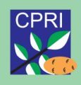 Central Potato Research Institute (CPRI)