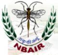 National Bureau of Agricultural Insect Resources (NBAIR)