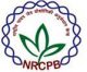 NRCPB – Junior Research Fellow & Various Vacancies (Delhi)