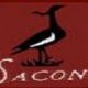 SACON Recruitment