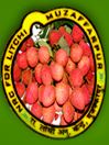 National Research Centre on Litchi