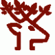 WII Sarkari Naukri – Project Associate & Various (06 Vacancies) (Dehradun, Uttarakhand)