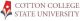 CCSU Sarkari Jobs
