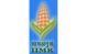 IIMR – Young Professionals Vacancy (Ludhiana, Punjab)