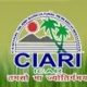 CIARI – Central Island Agricultural Research Institute