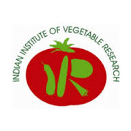 Indian Institute of Vegetable Research (IIVR)