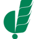 ICRISAT – Associate Scientist, Scientific Officer Vacancy (Hyderabad, Telangana)
