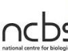 NCBS