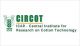 Government Jobs in Mumbai CIRCOT – Mumbai, Maharashtra