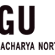 HNGU Govt Jobs – Research Assistant, Research Associate Vacancies (Gandhinagar, Gujarat)